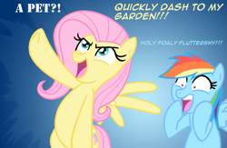 Size: 1009x656 | Tagged: safe, artist:thex-plotion, character:fluttershy, character:rainbow dash, episode:may the best pet win, g4, my little pony: friendship is magic, batman