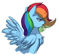 Size: 762x729 | Tagged: safe, artist:miikanism, character:rainbow dash, bust, chest fluff, female, portrait, profile, solo