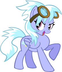 Size: 4930x5720 | Tagged: safe, artist:artpwny, character:cloudchaser, absurd resolution, female, goggles, simple background, solo, transparent background, vector