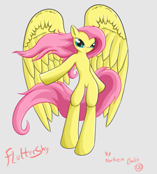 Size: 1024x1138 | Tagged: dead source, safe, artist:ac-whiteraven, character:fluttershy, species:pegasus, species:pony, big wings, bipedal, female, impossibly large wings, mare, semi-anthro, signature, simple background, solo, text, wings