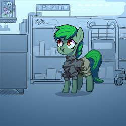 Size: 3000x3000 | Tagged: dead source, safe, artist:ivyredmond, oc, oc only, oc:lonely day, species:earth pony, species:pony, fanfic:the last pony on earth, clothing, female, grumpy, hooves, mare, ponies after people, solo, supermarket