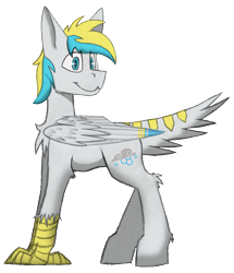 Size: 3333x3869 | Tagged: safe, artist:php122, oc, oc only, oc:cirrus sky, species:hippogriff, derpibooru community collaboration, 2017 community collab, simple background, solo, transparent background