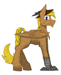 Size: 3134x3869 | Tagged: safe, artist:php122, oc, oc only, oc:hard cider, species:hippogriff, derpibooru community collaboration, 2017 community collab, clothing, hat, simple background, solo, transparent background