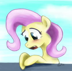 Size: 821x800 | Tagged: safe, artist:sevoohypred, character:fluttershy, female, solo