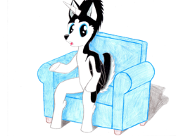 Size: 3300x2550 | Tagged: safe, artist:mrchaosthecunningwlf, artist:ponyvillechaos577, oc, oc only, oc:frost cloud, species:alicorn, species:pony, alicorn oc, couch, husky, hybrid, sitting, solo, talking, talking to viewer, traditional art