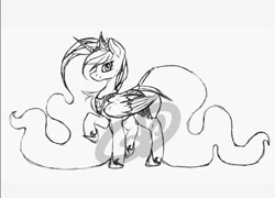Size: 671x484 | Tagged: safe, artist:roaert, character:princess luna, species:alicorn, species:pony, female, long mane, monochrome, sketch, smiling, solo, wip