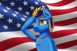 Size: 3000x2000 | Tagged: safe, artist:blues4th, oc, oc only, oc:blues, species:pegasus, species:pony, american, american flag, flag, jewelry, necklace, salute, united states