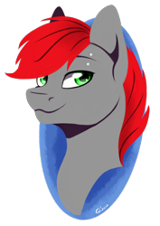 Size: 2042x2880 | Tagged: safe, artist:shkura2011, oc, oc only, species:pony, bust, high res, male, portrait, simple background, solo, stallion, transparent background