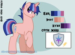 Size: 1024x759 | Tagged: safe, artist:shootingstaryt, base used, oc, oc only, oc:night shine sparkle, parent:flash sentry, parent:twilight sparkle, parents:flashlight, species:pony, species:unicorn, biography, male, multicolored hair, next generation, offspring, reference, reference sheet, solo, stallion