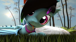 Size: 1280x720 | Tagged: safe, artist:rdashflare, oc, oc only, oc:rdash, species:dracony, 3d, collar, grass, hybrid, looking at you, lying down, source filmmaker, tongue out