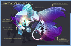 Size: 5100x3300 | Tagged: safe, artist:ghostlymuse, character:queen novo, species:pony, species:seapony (g4), my little pony: the movie (2017), anatomy, anatomy guide, bioluminescent, female, fin, headcanon, mare, raised hoof, solo
