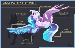Size: 5100x3300 | Tagged: safe, artist:ghostlymuse, character:silverstream, species:classical hippogriff, species:hippogriff, anatomy, anatomy guide, claws, female, open mouth, solo, spread wings, text, wings