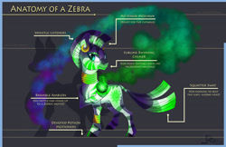 Size: 3400x2200 | Tagged: safe, artist:ghostlymuse, character:zecora, species:pony, species:zebra, anatomy, anatomy guide, ear piercing, earring, female, jewelry, leg rings, looking at you, mare, neck rings, piercing, rhyme, sequence, solo, text