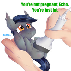 Size: 2000x2000 | Tagged: safe, alternate version, artist:donutnerd, oc, oc:echo, species:bat, species:bat pony, species:pony, bat pony oc, crying, eeee, fat, food baby, holding a pony, hooves to the chest, legs in air, not pregnant, obese, offscreen character, round, rude humor, sad, smol, ultrasound