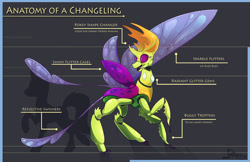 Size: 1280x828 | Tagged: safe, artist:ghostlymuse, character:thorax, species:changeling, species:reformed changeling, alternate design, anatomy, anatomy guide, changeling king, male, solo