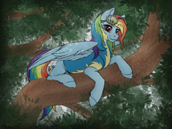 Size: 1280x960 | Tagged: safe, artist:honiibree, character:rainbow dash, species:pegasus, species:pony, backwards cutie mark, clothing, commission, female, goggles, mare, resting, sitting in a tree, smiling, solo, tree, tree branch, uniform, wonderbolt trainee uniform