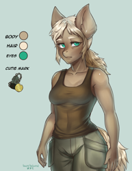 Size: 2550x3300 | Tagged: safe, artist:tawni-tailwind, oc, oc only, oc:gilded shilling, species:anthro, species:pony, anthro oc, clothing, cutie mark, female, mare, muscles, older, pirate, ponytail, reference, reference sheet, solo, tank top