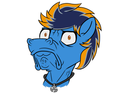 Size: 1600x1200 | Tagged: safe, artist:blues4th, oc, oc:blues, species:pony, frown, horse face, jewelry, necklace, solo