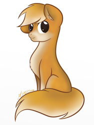 Size: 1125x1500 | Tagged: safe, artist:mimicproductions, edit, oc, oc:inushiba, species:earth pony, species:pony, chest fluff, cute, dog pony, ear fluff, floppy ears, fluffy, looking at you, male, shiba inu, simple background, sitting, smiling, solo, stallion, tail fluff, white background