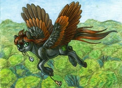 Size: 3000x2157 | Tagged: safe, artist:dany-the-hell-fox, oc, oc only, species:pegasus, species:pony, bell, colored hooves, compass, cutie mark, female, flying, hooves, mare, solo, spread wings, tree, wings