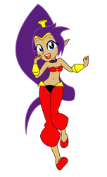Size: 792x1304 | Tagged: safe, artist:lhenao, artist:yaya54320, base used, edit, my little pony:equestria girls, barely eqg related, clothing, crossover, crown, equestria girls style, equestria girls-ified, genie, jewelry, long hair, purple hair, regalia, shantae, shantae (character), shoes