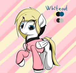 Size: 3136x3000 | Tagged: safe, artist:vipy, oc, oc only, oc:whiteout, species:pegasus, species:pony, clothing, hoodie, reference sheet