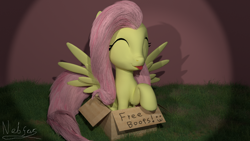 Size: 1920x1080 | Tagged: safe, artist:nebulafactory, character:fluttershy, species:pony, 3d, blender, boop box, box, cute, grass, shyabetes