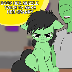 Size: 2600x2615 | Tagged: safe, artist:crimsonsky, oc, oc:anon, oc:filly anon, species:pony, /mlp/, 4chan, angry, annoyed, boop, cheek fluff, chest fluff, dialogue, ear fluff, female, filly, funny, leg fluff, open mouth, pouting, room, smiling, this will end in pain