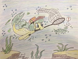 Size: 3495x2655 | Tagged: safe, artist:debmervin, oc, oc:turtle chaser, species:seapony (g4), exclamation point, mouth hold, net, solo, traditional art, turtle, underwater