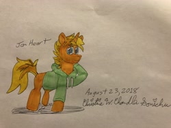 Size: 4032x3024 | Tagged: safe, artist:chris chan, oc, oc only, oc:jai heart, species:pony, chris chan, commission, traditional art