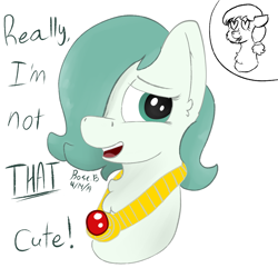 Size: 1400x1400 | Tagged: safe, artist:rosebush, oc, oc only, oc:emerald jewel, oc:hope blossoms, species:pony, amulet, colt, colt quest, duo, femboy, jewelry, looking at you, male, smiling, talking, text