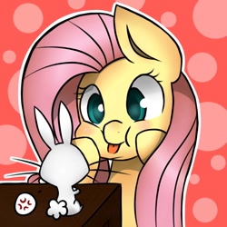 Size: 894x894 | Tagged: safe, artist:moondreamer16, character:angel bunny, character:fluttershy, species:pony, species:rabbit, animal, cheek squish, cross-popping veins, cute, dawwww, duo, female, mare, puffy cheeks, shyabetes, silly face, squishy cheeks, tongue out