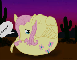 Size: 700x545 | Tagged: safe, artist:helicityponi, character:fluttershy, armadillo, desert, female, meep, solo, species swap