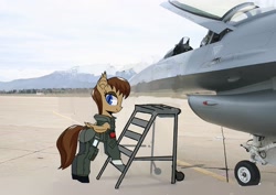Size: 2456x1740 | Tagged: safe, artist:ivyredmond, oc, oc:lunette, species:bat pony, species:pony, aircraft, f-16, f-16 fighting falcon, irl, photo, ponies in real life, solo