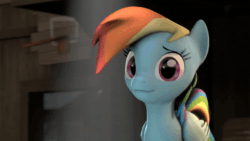Size: 1920x1080 | Tagged: safe, artist:ferexes, character:rainbow dash, species:pegasus, species:pony, 3d, animated, female, mare, reaction image, solo, sound, source filmmaker, stupidity, webm