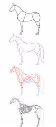Size: 960x2160 | Tagged: safe, artist:flufflepimp, species:pony, anatomy, female, horse, learning to draw, mare, realistic, simple background, sketch, sketch dump, white background