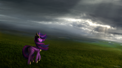 Size: 3840x2160 | Tagged: safe, artist:robsa990, character:twilight sparkle, character:twilight sparkle (alicorn), species:alicorn, species:pony, cloud, crown, female, field, high res, hoof shoes, jewelry, mare, peytral, regalia, sky, solo, windswept mane