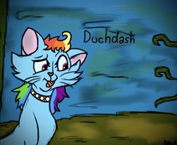 Size: 1015x827 | Tagged: safe, artist:kittycatrittycat, character:rainbow dash, cat, collar, duchdash, duchess, female, hair, movie, multicolored hair, rainbow cat, solo, the aristocats, whiskers