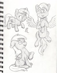 Size: 1280x1621 | Tagged: safe, artist:lost marbles, character:derpy hooves, species:pegasus, species:pony, pencil drawing, rat, traditional art
