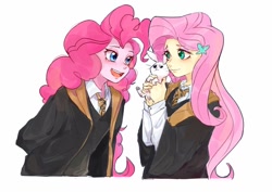 Size: 1024x726 | Tagged: safe, artist:keeerooooo1, character:angel bunny, character:fluttershy, character:pinkie pie, species:rabbit, my little pony:equestria girls, animal, clothing, duo, female, harry potter, hufflepuff, robe