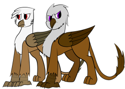Size: 2800x2000 | Tagged: safe, artist:somber, oc, oc only, oc:amalia silverwing, oc:kasimir longtalons, species:griffon, fallout equestria, colored, fallout equestria: longtalons, female, flat colors, male, straight