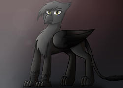 Size: 2800x2000 | Tagged: safe, artist:somber, oc, oc only, oc:heidi blackfeathers, species:griffon, fallout equestria, colored, fallout equestria: longtalons, fanfic, fanfic art, female, light, looking at you, shadow, solo