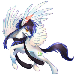 Size: 1280x1280 | Tagged: safe, artist:renciel, oc, oc only, oc:sky digit, species:pegasus, species:pony, clothing, scarf, simple background, solo, transparent background