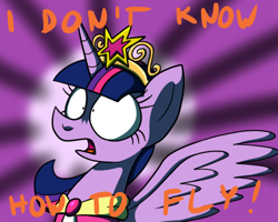 Size: 500x400 | Tagged: safe, artist:putuk, character:twilight sparkle, character:twilight sparkle (alicorn), species:alicorn, species:pony, blurred background, female, mindfuck, shrunken pupils, solo