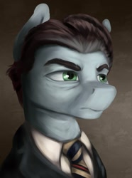 Size: 1280x1724 | Tagged: safe, artist:dukevonkessel, species:earth pony, species:pony, equestria at war mod, bust, male, portrait, solo