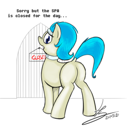 Size: 800x800 | Tagged: safe, artist:hardlugia, oc, oc:castel, species:earth pony, species:pony, androgynous, androgynous male, butt, closed, collar, dock, female, headband, looking back, mare, plot, solo, text