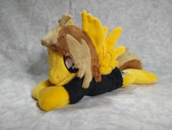 Size: 1032x774 | Tagged: safe, artist:bluedragonflyplush, species:pegasus, species:pony, alex gaskarth, all time low, beanie (plushie), clothing, commission, ear fluff, irl, male, photo, plushie, ponified, prone, shirt, solo, spread wings, stallion, t-shirt, wings