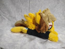 Size: 1032x774 | Tagged: safe, artist:bluedragonflyplush, species:pegasus, species:pony, alex gaskarth, all time low, beanie (plushie), clothing, commission, ear fluff, irl, male, photo, plushie, ponified, prone, shirt, solo, spread wings, stallion, t-shirt, tail feathers, wings