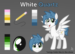 Size: 1500x1080 | Tagged: safe, artist:whitequartztheartist, oc, oc:white quartz, species:pegasus, species:pony, g4, male, reference sheet, solo, stallion