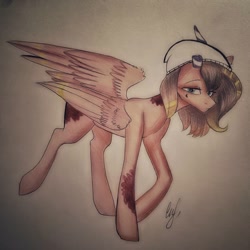 Size: 1080x1080 | Tagged: safe, artist:jonny_flex69, oc, oc only, species:pegasus, species:pony, g4, clothing, hat, pegasus oc, solo, traditional art, wings